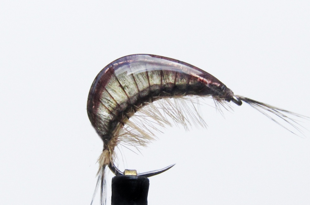 Gaga Gammarus Cool Grey #16 Shrimp Fishing Fly Also Called Scud Fly